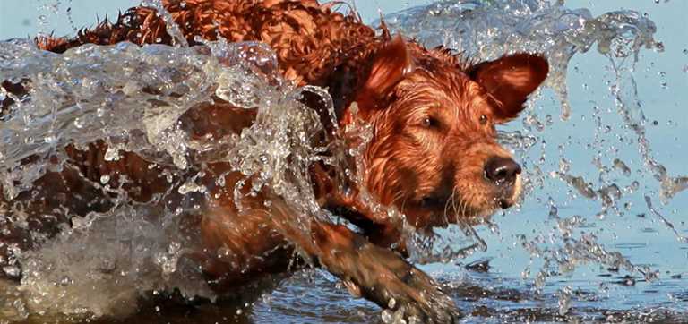 5 Key Points For Training Your Retriever