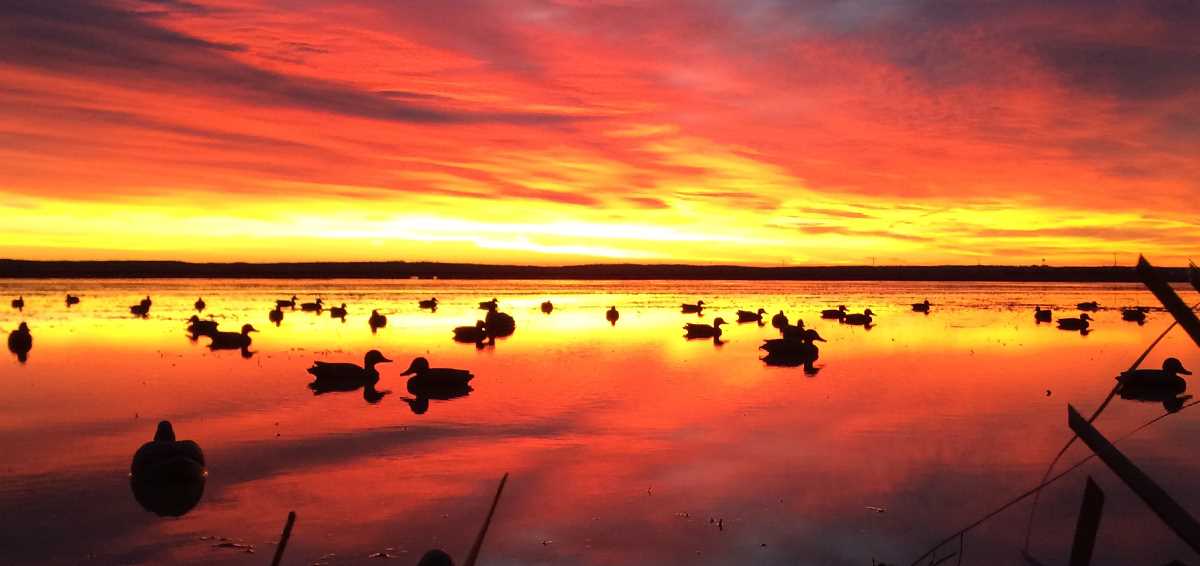 words-that-define-us-ducks-unlimited