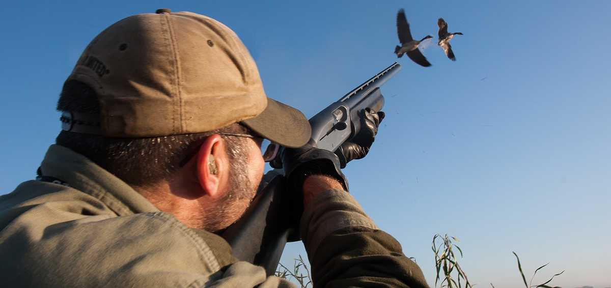 10 Shooting Tips for Waterfowl