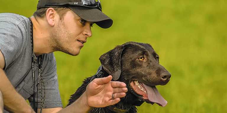 An ounce of prevention is worth a pound of cure when it comes to caring for your retriever.