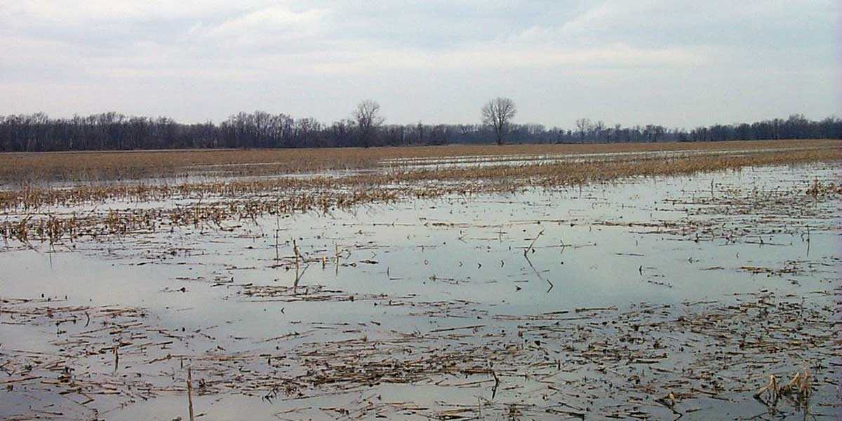 Image for Lick Creek Wildlife Management Area