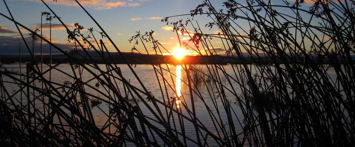 Image for White Lake Refuge - Wetlands Restoration