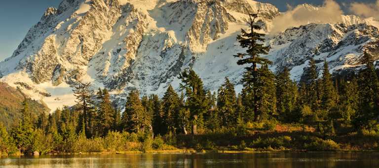 Western Boreal Forest - Alaska