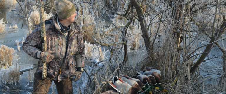 Gunning The Great Basin