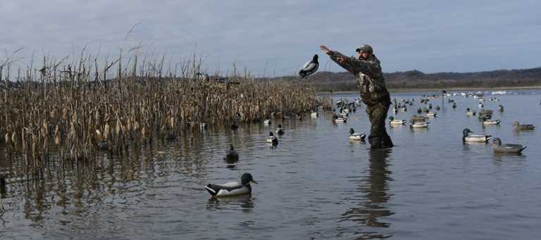 Bird's-Eye-View: Illinois River Bottoms Decoy Spread