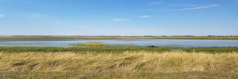 DU restores Cheyenne Bottoms Wildlife Area