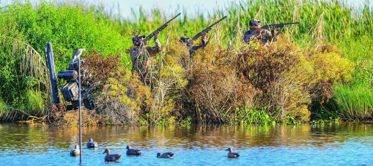 Plan Your Louisiana Teal Trip Now Ducks Unlimited