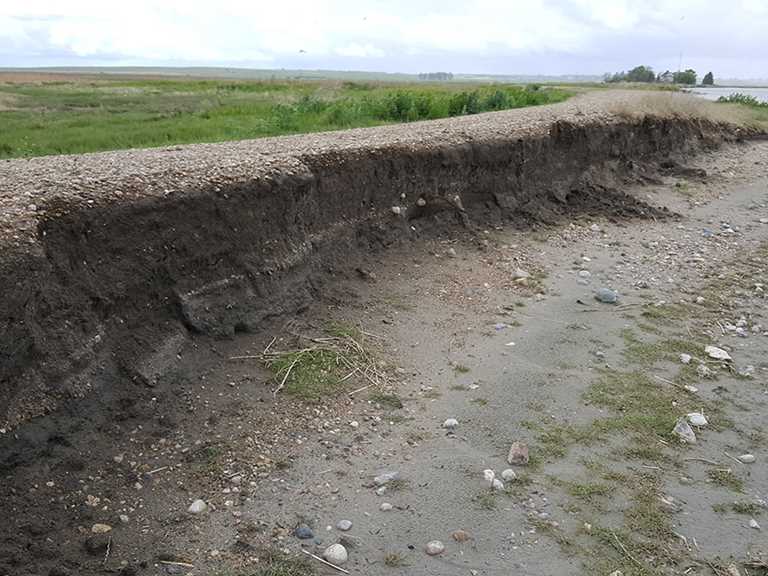 Washed out section of dike that was repaired. 
