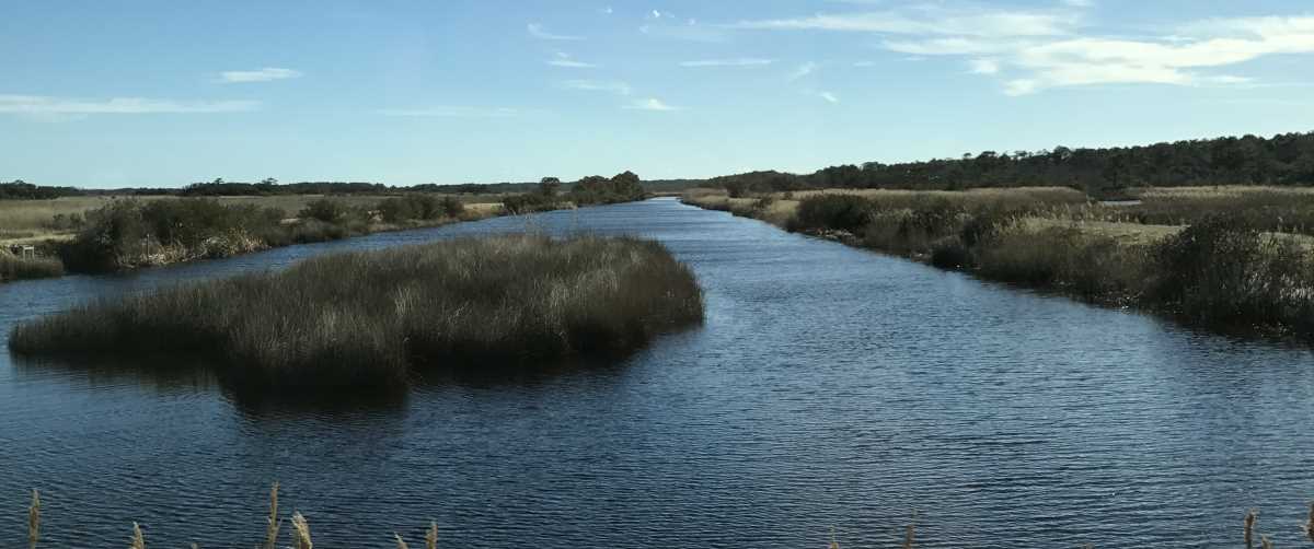 Back Bay NWR project funded