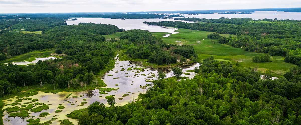 New York Duck Habitat Boosted in 2017 | Ducks Unlimited