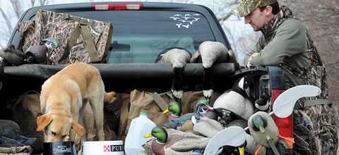 Retriever Training | Ducks Unlimited