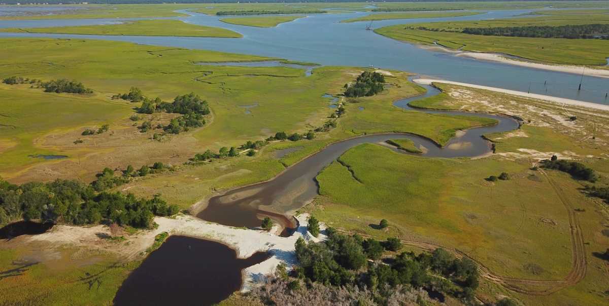 Dewees Island Restoration | Ducks Unlimited