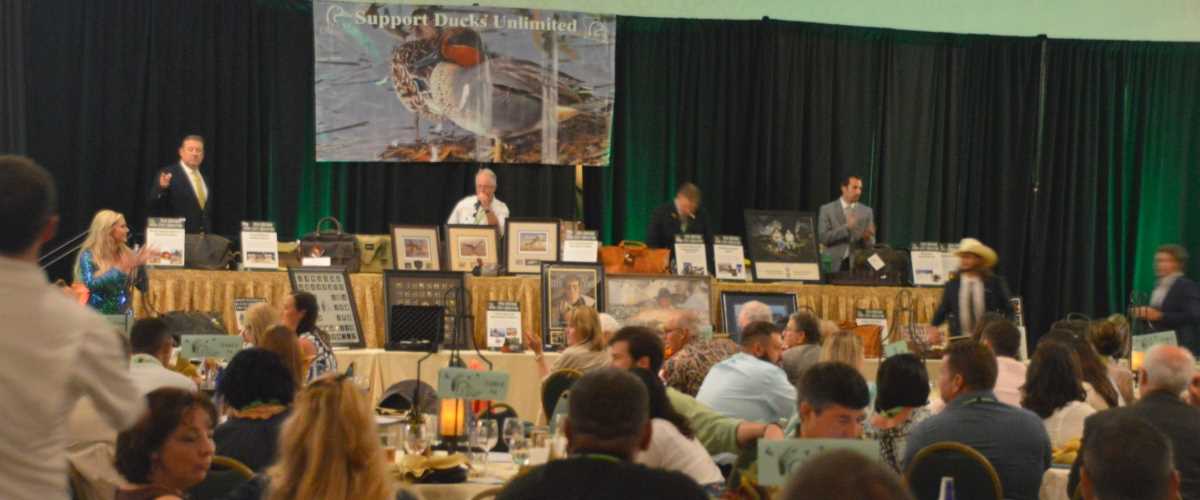 Image for Ducks Unlimited Recognizes 16 Louisiana Chapters