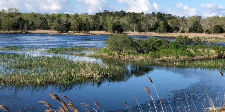 New Jersey awards DU for conservation