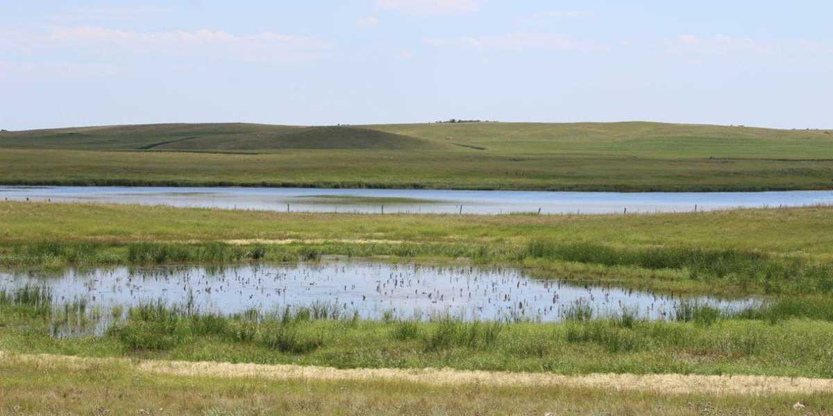 Raffle helps fund North Dakota conservation work | Ducks Unlimited