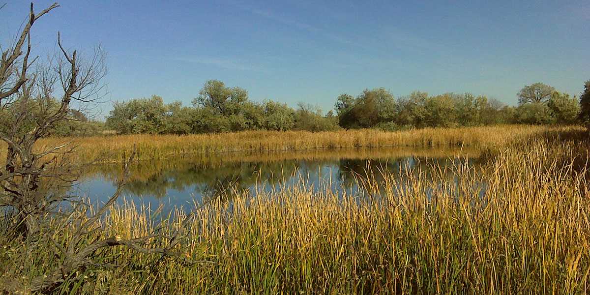 Image for DU helps improve wetland management at NE WPAs