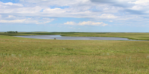 Get to know our Prairie Research Team