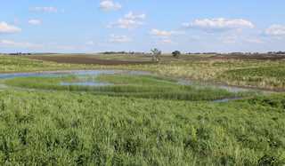 South Dakota wetland 