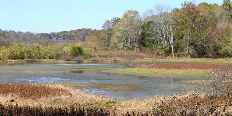 The Hoosier National Forest is important for ducks and public recreation.