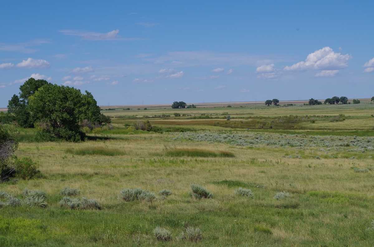 DU awarded grassland carbon credits | Ducks Unlimited