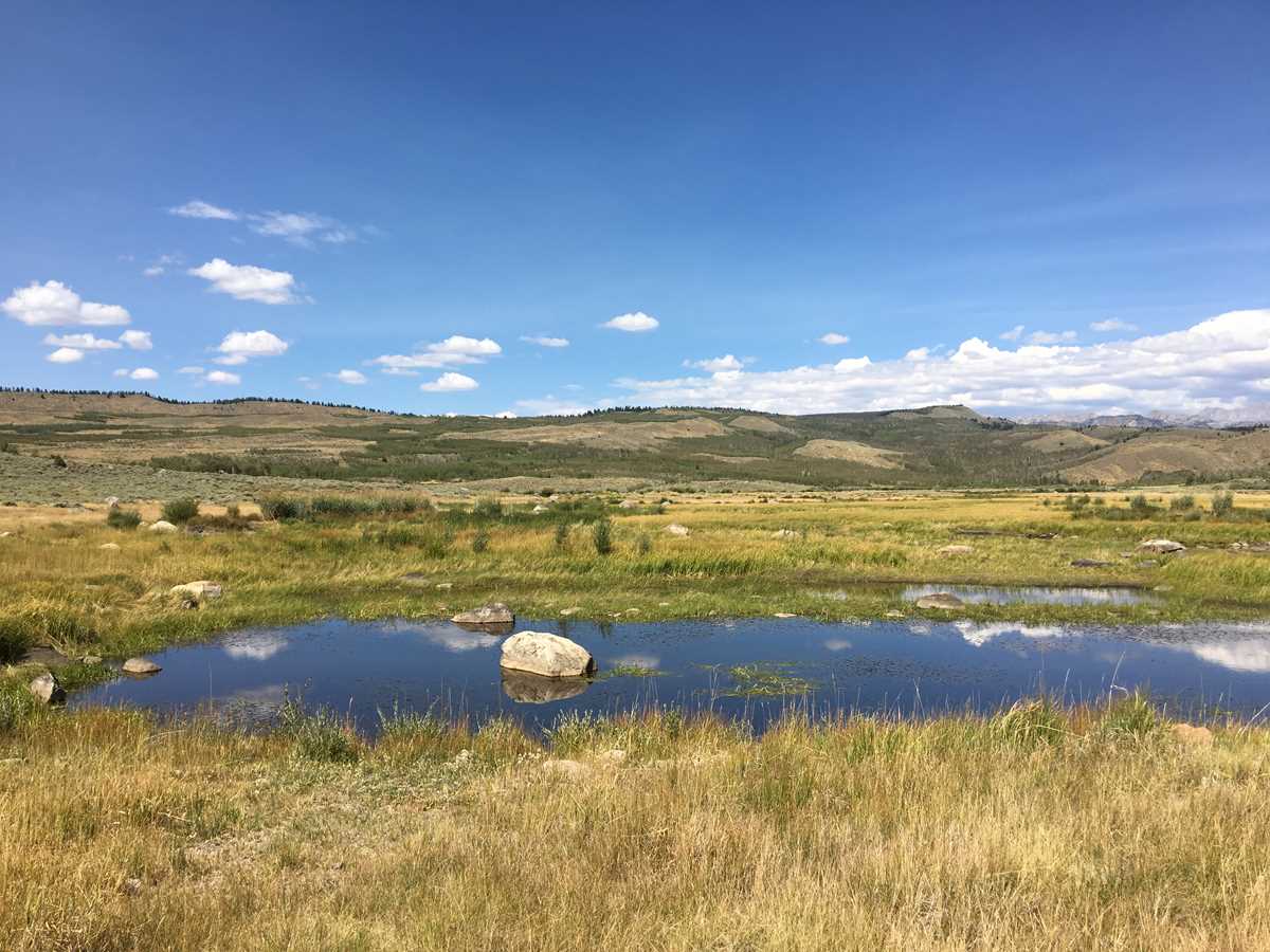 Western Wyoming Wetland Partnership