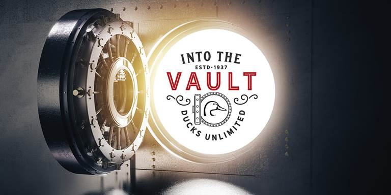 Into the Vault 2020