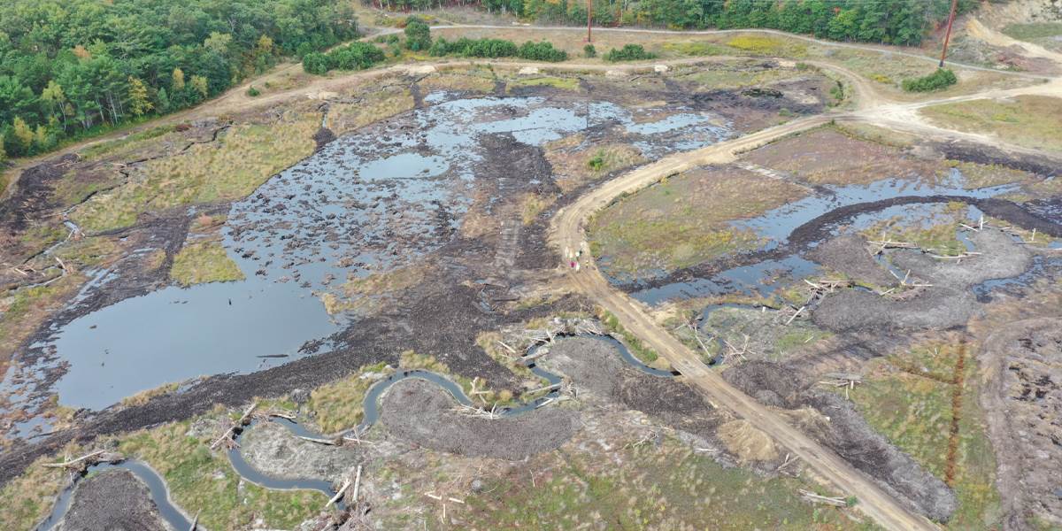 Restored Massachusetts cranberry bogs offer value