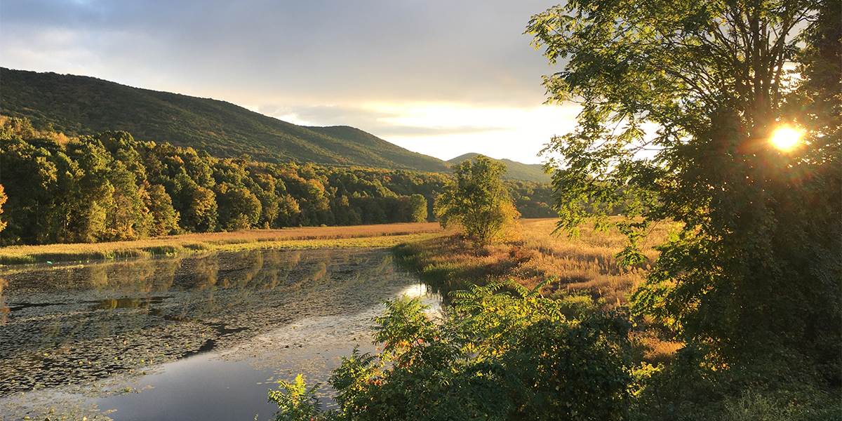 Image for Expansive Conservation Effort Launches in Northern Pennsylvania