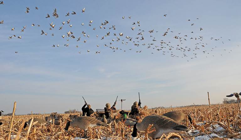 It takes some specialized strategies to hunt ducks and geese at the same time. Play your cards right, and you can double your fun.