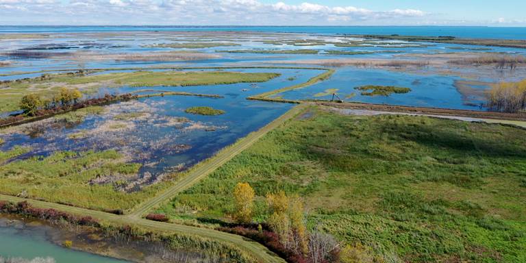 DU wetlands enhancement work at Pointe Mouillee State Game Area in Michigan
