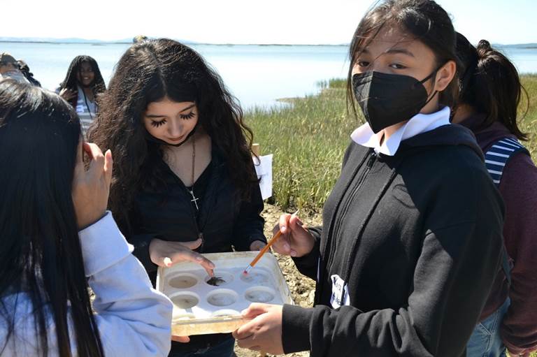 Mare Island Technology Academy students observe a crab collected in San Pablo Bay.