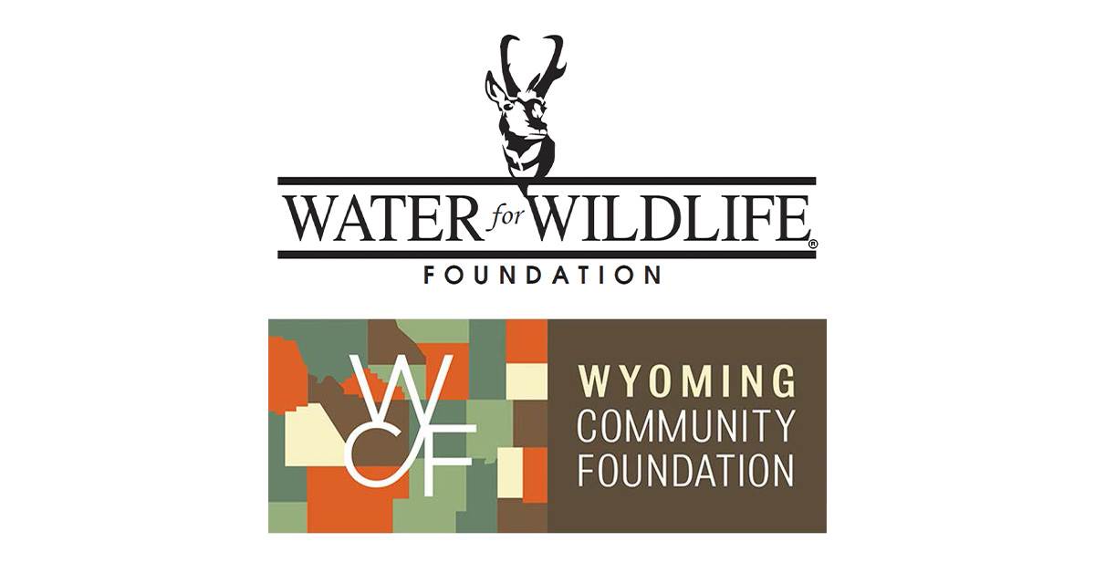 Image for Providing Water for Wyoming’s Wildlife