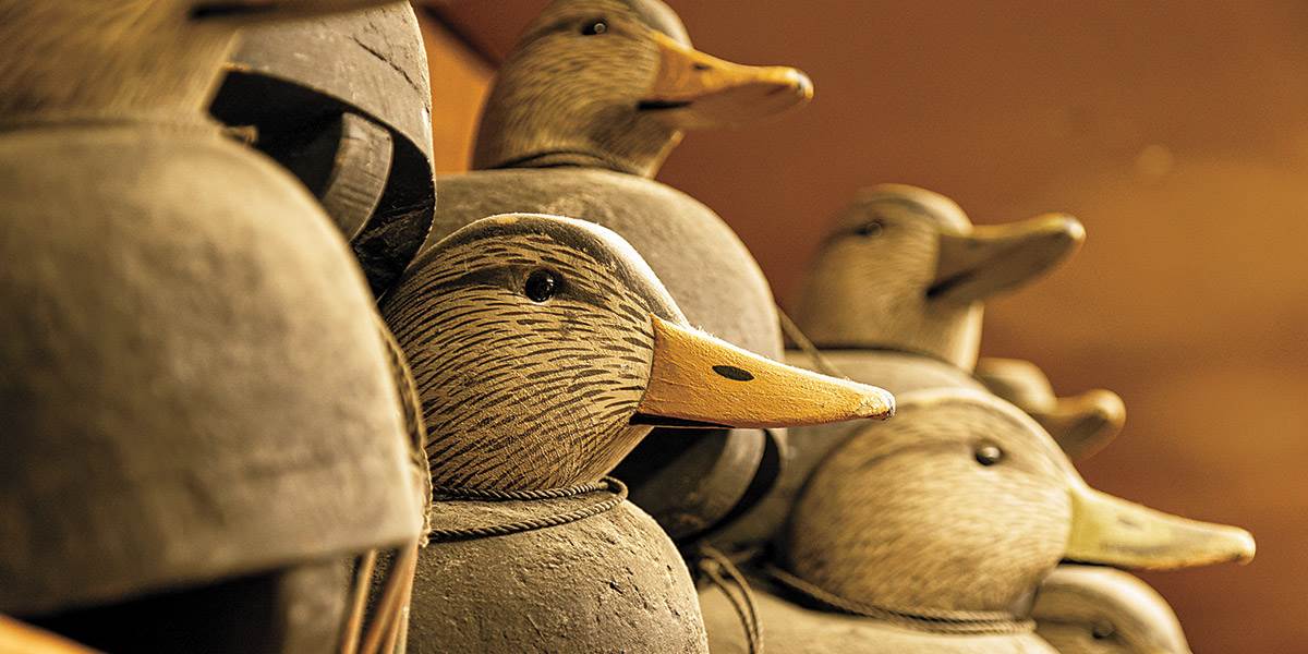 Waterfowler's World: Decoy Collecting Tips