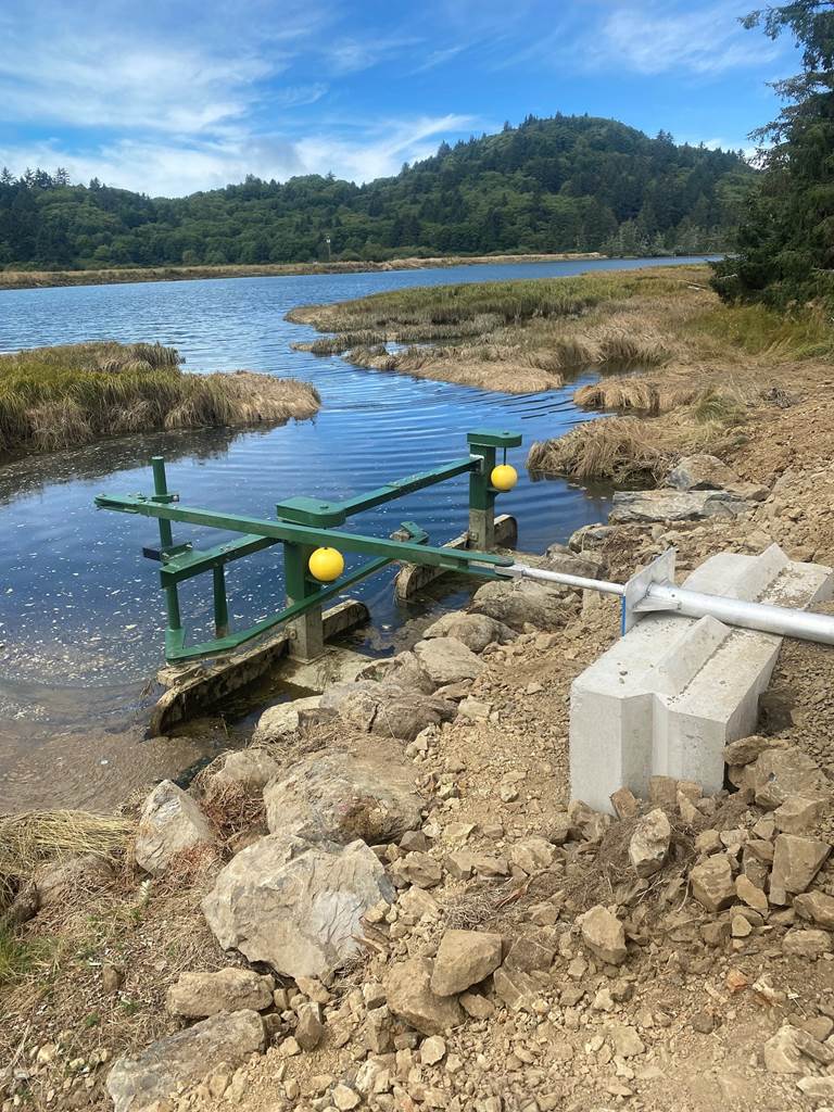 Newly installed Muted Tidal Regulator (MTR) on the Little Nestucca River