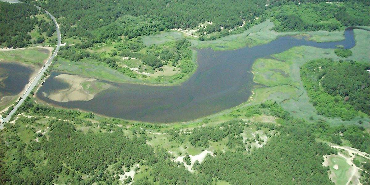 Image for Herring River To Undergo $60 Million Salt Marsh Restoration  