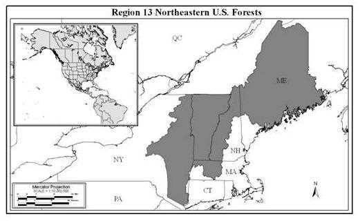 Northeastern US Forest Map