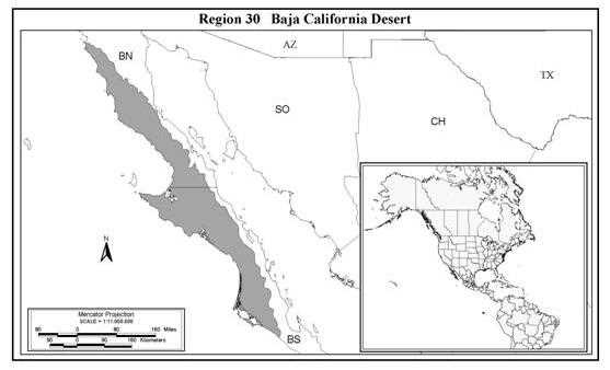 Map view - Baja California Desert