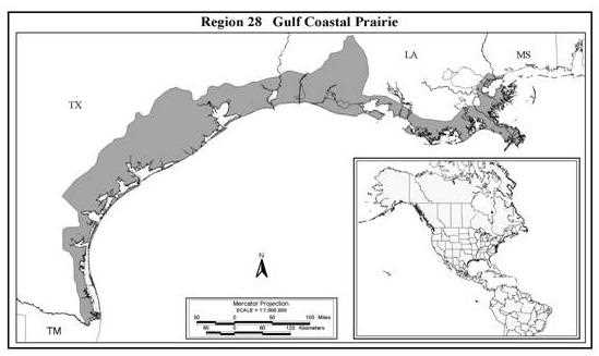 Gulf Coast Prairie Map
