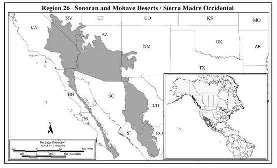 Sonoran and Mojave Desert Map