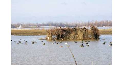 p0 My Ultimate Duck Blind
