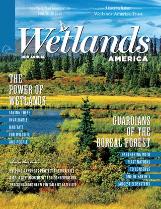 Wetlands America Trust magazine cover